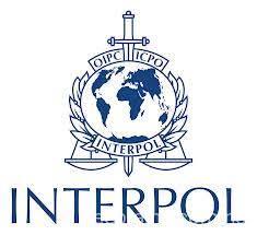 Internship in France 2025 | INTERPOL