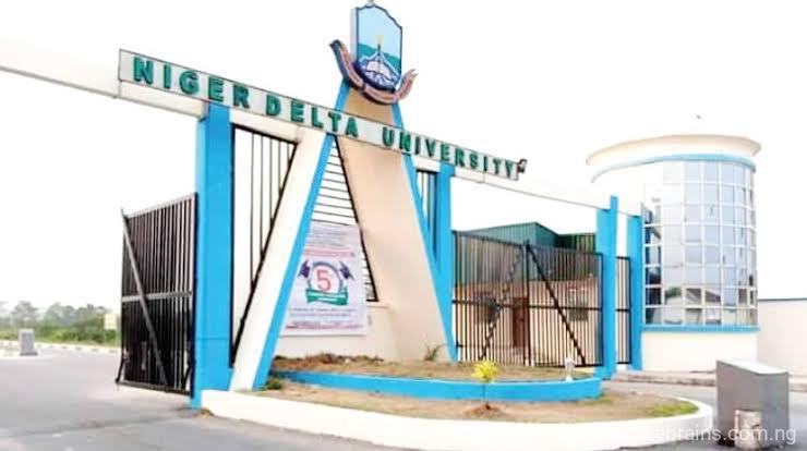 Niger Delta University Admission List | 2025/2026 Session