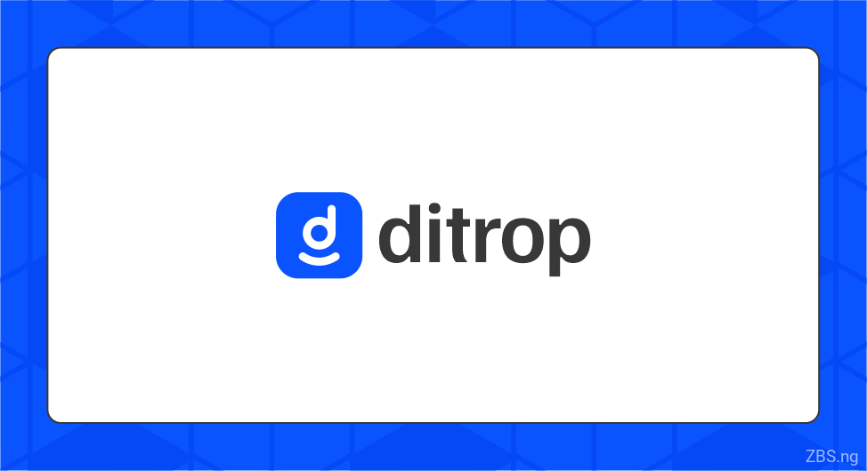WordPress Developer Intern | Ditrop Inc