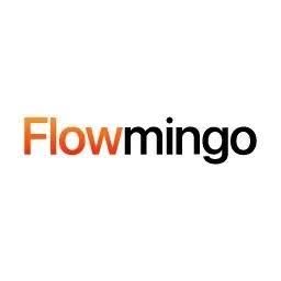 Content Creator Partner Needed | Flowmingo AI