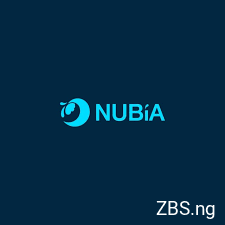 Remote Brand And Graphics Designer | Nubia Integrated Mega Technology