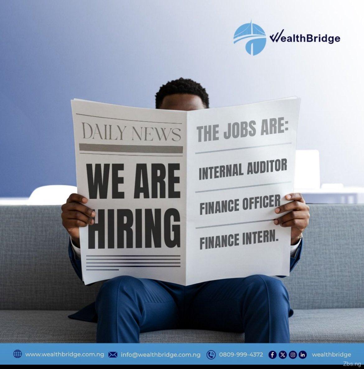 Finance and Audit officer Needed | WealthBrigde