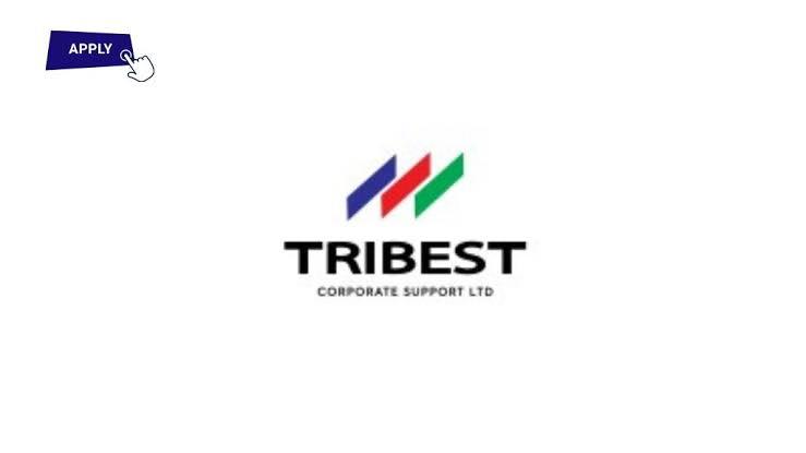Bank Teller | Tribest Limited